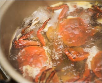 Crab is boiled in a pan