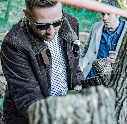 Shiitake Mushroom Picking