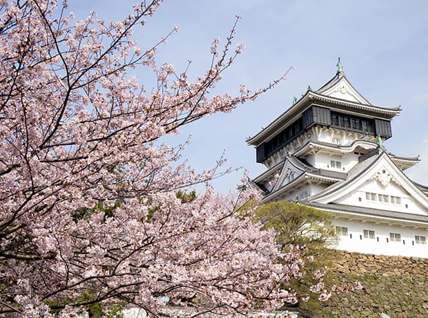 kitakyushu kokura castle sakura