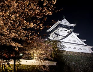 kokura castle night