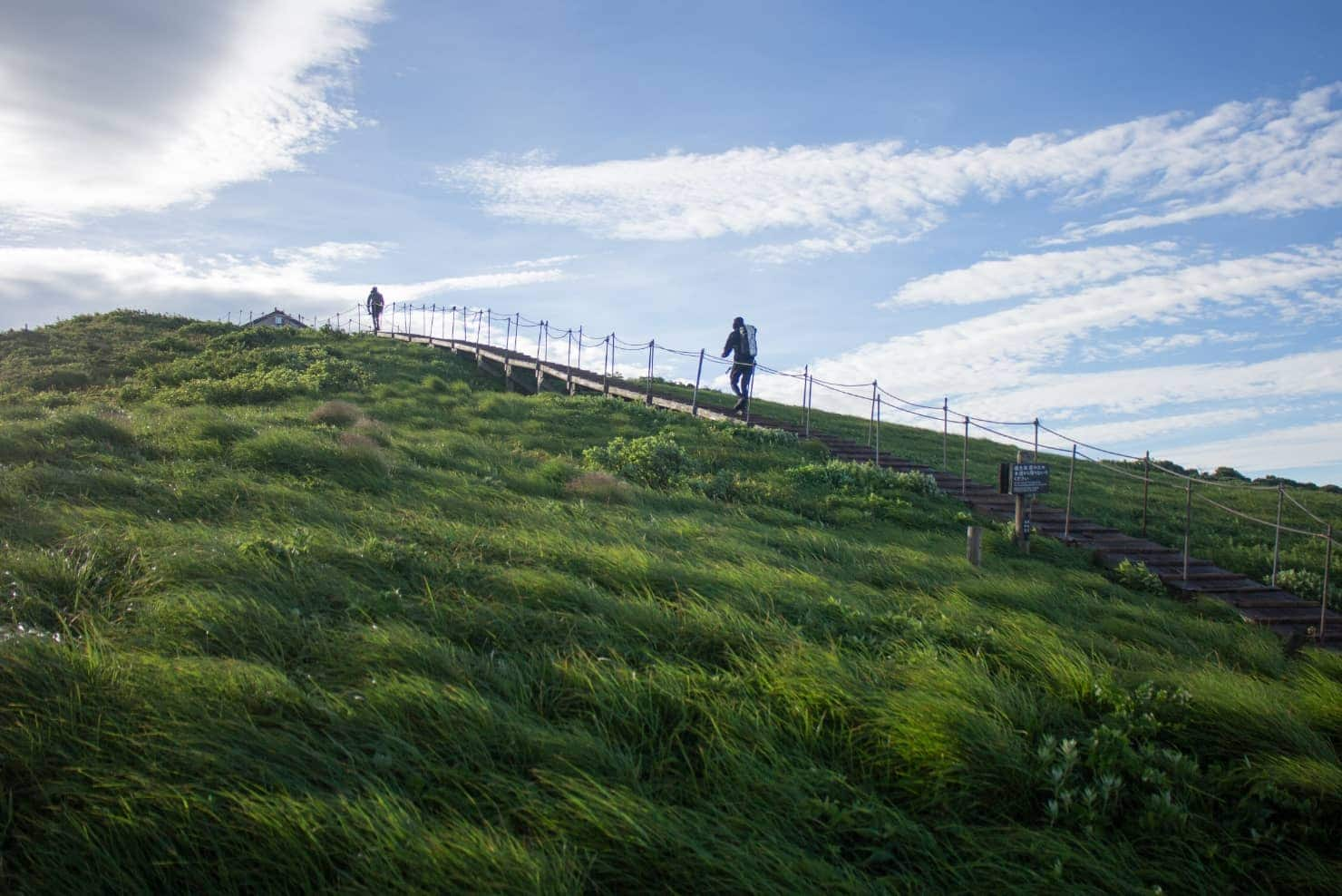 Meadow in Mount Daisen