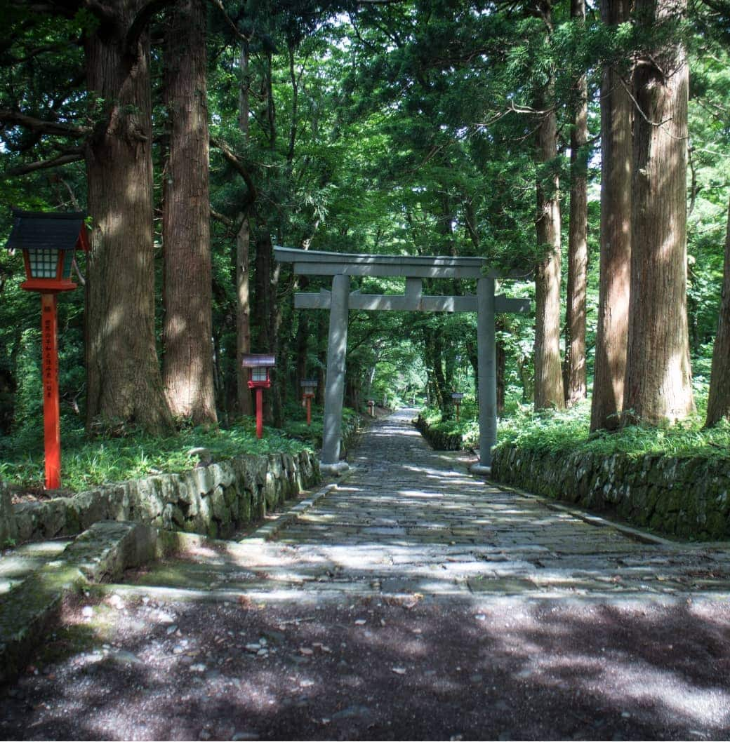 Oogamiyama Shrine and stone steps