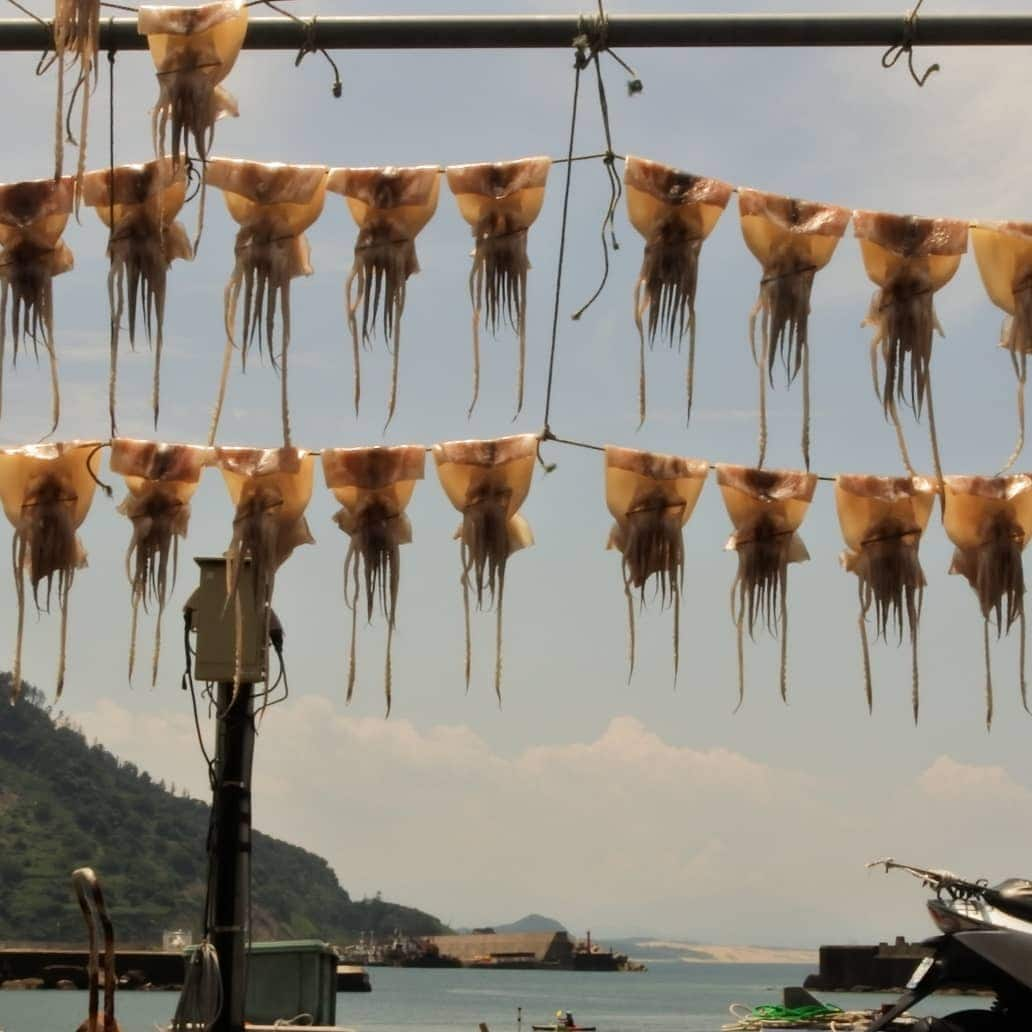 Dried squid