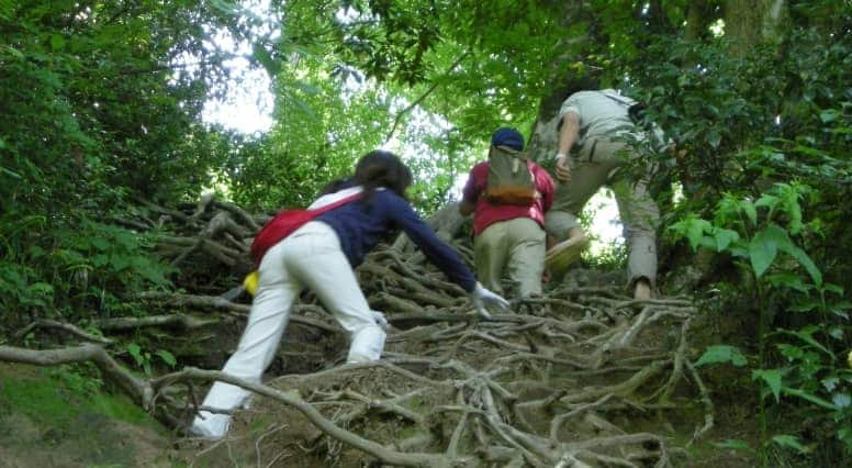 Climbing Mount Mitoku