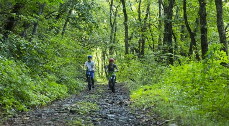 Cycling at Mount Daisen