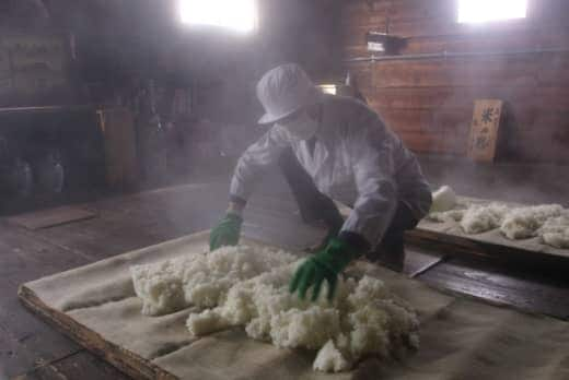 Sake brewer (rice steaming)