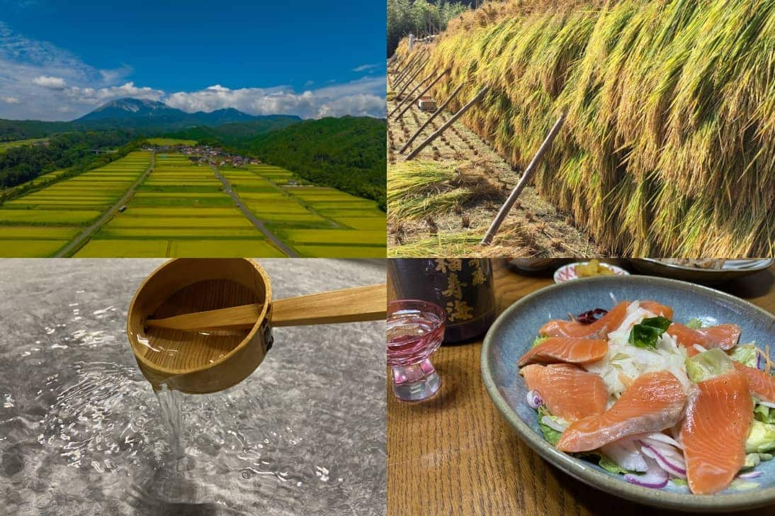 Sake rice fields / Rice for Sake / Water for brewing / Sake and Japanese food