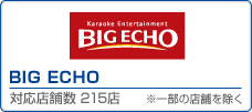 BIG ECHO