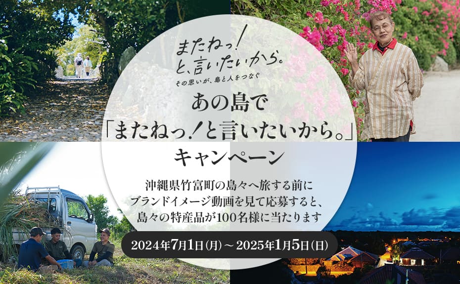 あの島で「またねっ！と言いたいから。」キャンペーン（石垣線対象）