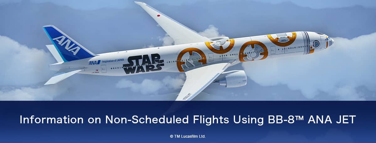 Information on Non-Scheduled Flights Using BB-8™ ANA JET