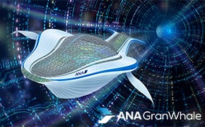 ANA GranWhale