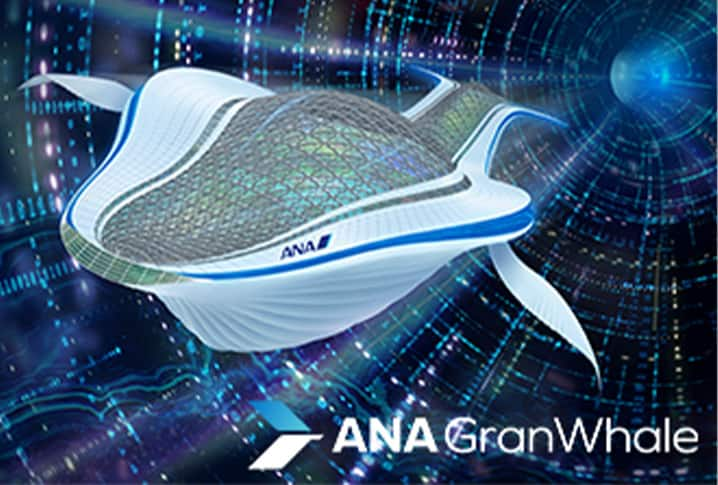 ANA GranWhale