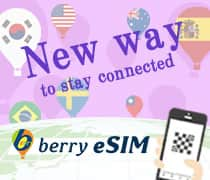 berry eSIM