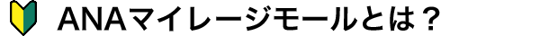 ANAマイレージモールとは?