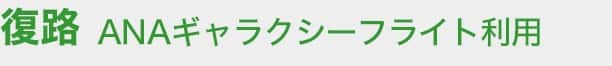 復路 ANAギャラクシーフライト利用