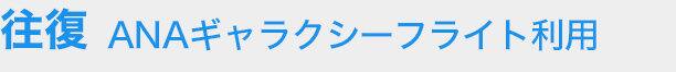 往復 ANAギャラクシーフライト利用