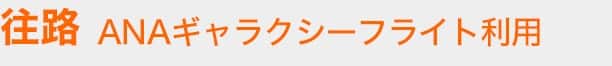 往路 ANAギャラクシーフライト利用