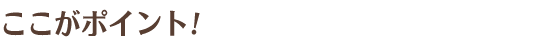 ここがポイント!