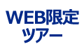 WEB限定