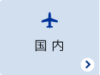 国内