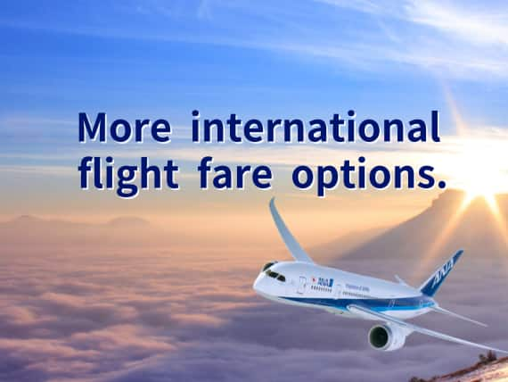 More International Fare Options.