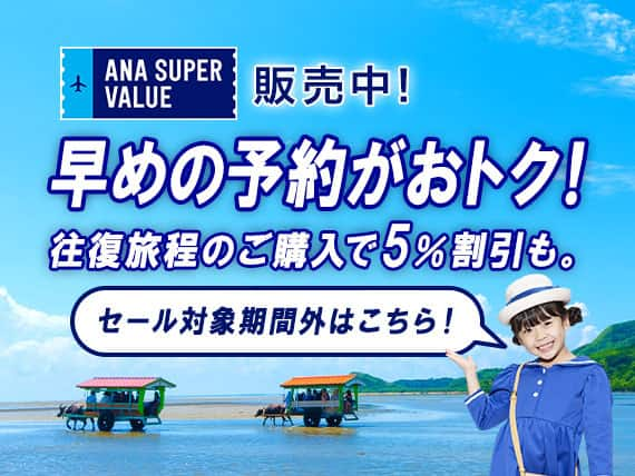 ANA SUPER VALUE販売中！早めの予約がおトク！往復旅程のご購入で5％割引も。セール対象期間外はこちら！