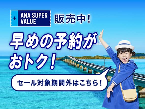 ANA SUPER VALUE販売中！早めの予約がおトク！セール対象期間外はこちら！