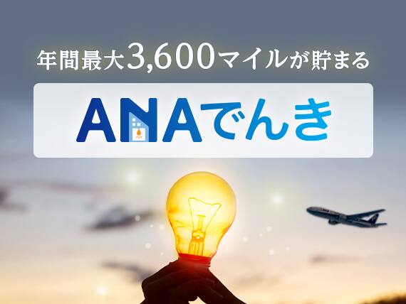 年間最大3,600マイルが貯まる　ANAでんき