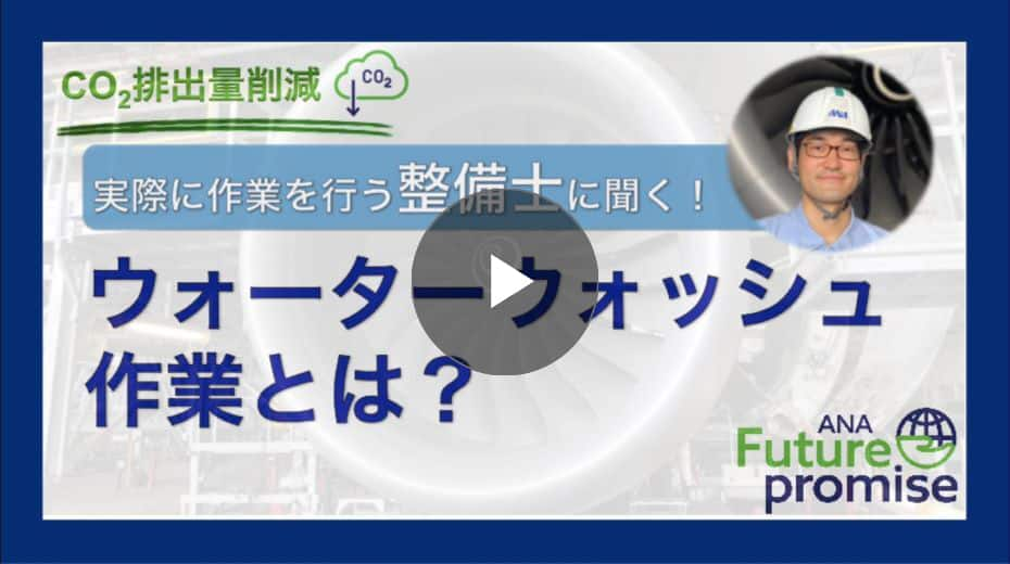 ウォーターウォッシュ作業とは？