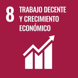 SDGs Objetivo 8 TRABAJO DECENTE Y CRECIMIENTO ECONÓMICO