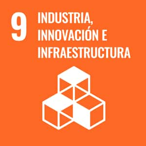 SDGs Objetivo 9 INDUSTRIA, INNOVACIÓN E INFRAESTRUCTURA