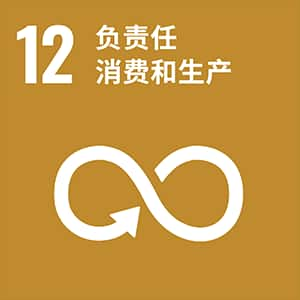 SDGs 第12项：确保可持续消费和生产模式。