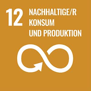 SDG Nr. 12 – NACHHALTIGE/R KONSUM UND PRODUKTION