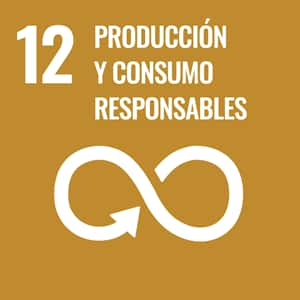 ODS nro. 12: PRODUCCIÓN Y CONSUMO RESPONSABLES