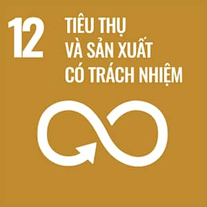 SDGs Số12 Tiêu thụ và sản xuất có trách nhiệm