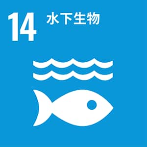 SDGs No.14 水下生物