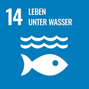 SDGs Nr.14 LEBEN UNTER WASSER