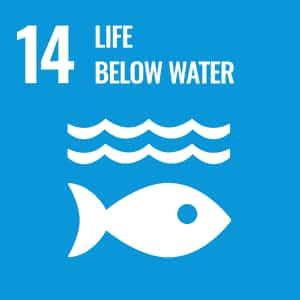 SDGs No.14 LIFE BELOW WATER