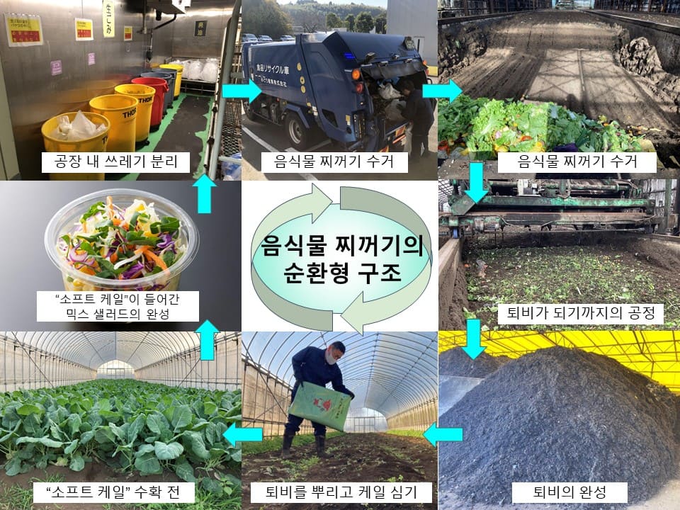 음식물 찌꺼기에서 케일이 만들어지기까지의 공정 사진. ①공장 내 쓰레기 분리 ②음식물 찌꺼기 수거 ③퇴비가 되기까지의 공정 ④완성된 퇴비를 뿌리고 케일 심기 ⑤케일 수확