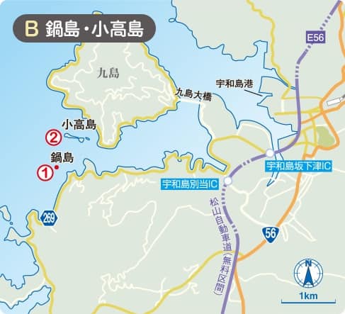 愛媛県・宇和海】岬、半島、島々が凝縮された景勝地|ANA