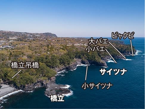 「D 八幡野（やわたの）エリア」の釣りのポイントが航空写真で紹介されています。北から順に「ビャクビ」「大バエ」「小バエ」「サイツナ」「小サイツナ」が並んでいます。