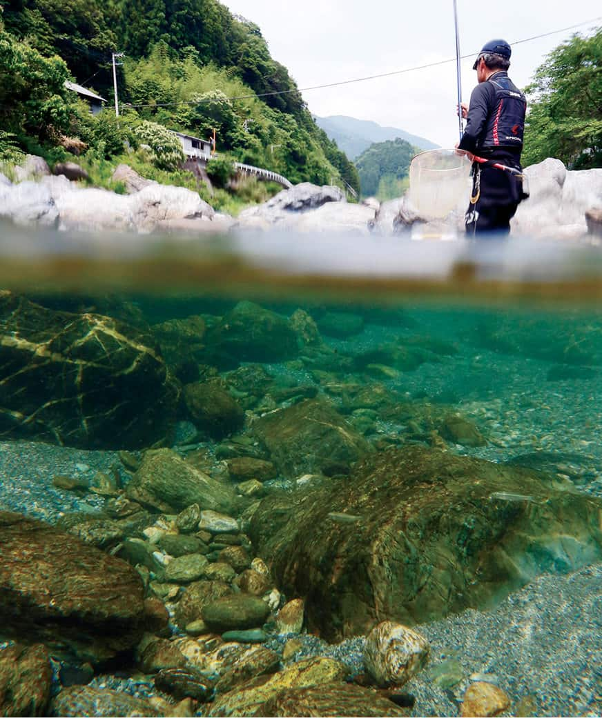 仁淀ブルーの清流に立ち込んでアユを釣る