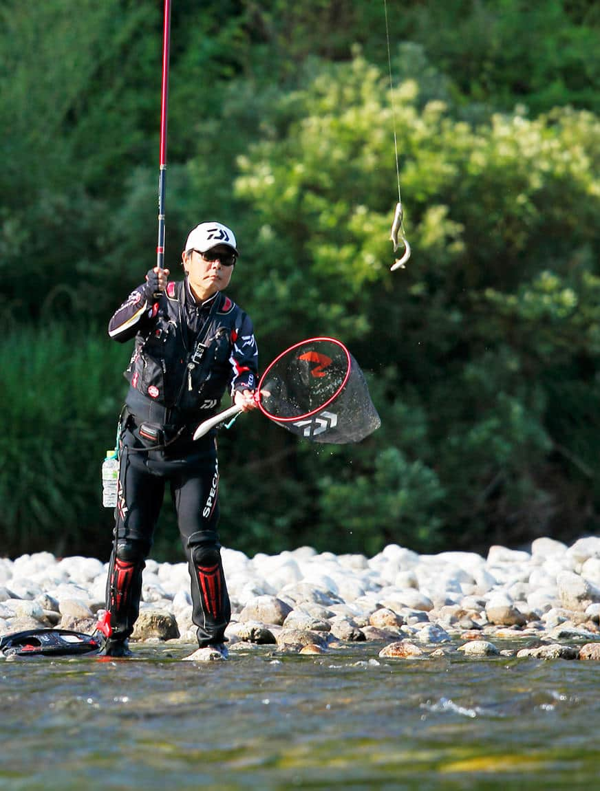 次々とアユを抜き上げる内山さん