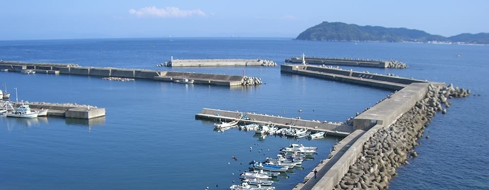 淡路島南部の土生港と沖に浮かぶ沼島