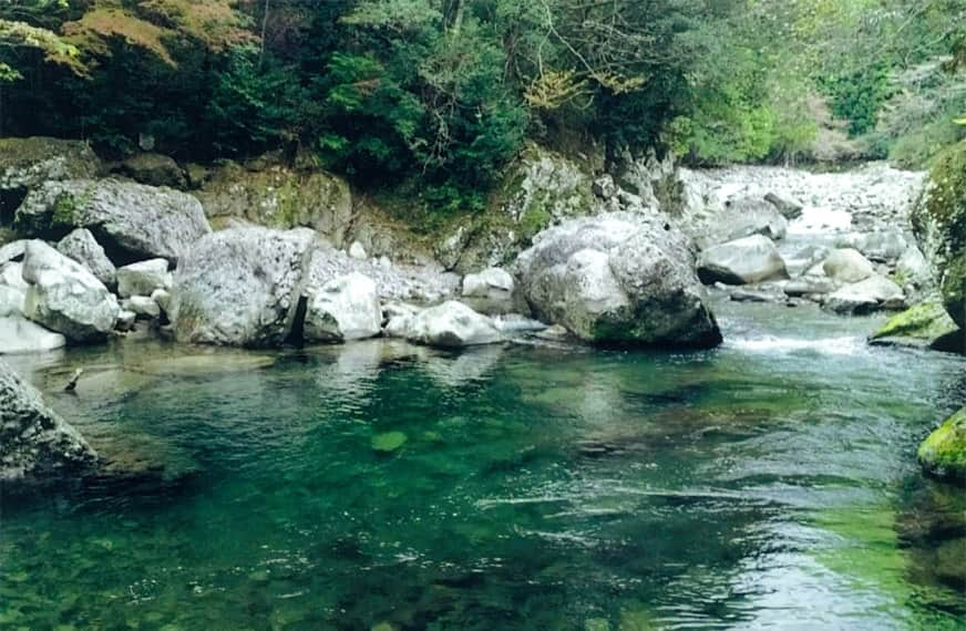 風景写真：日置川の渓流