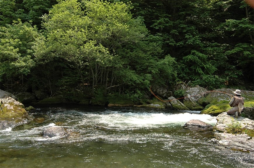 風景写真：閉伊川の上流部。河畔林付近。