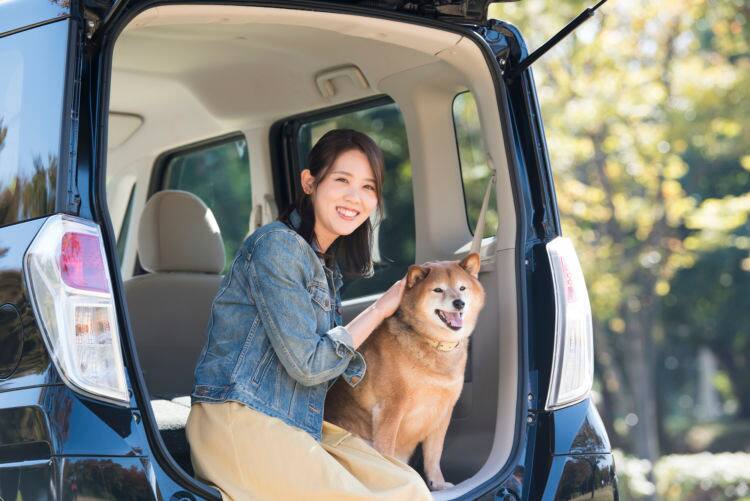 獣医師監修 愛犬とのドライブ 車移動 快適な旅行を成功させる秘訣 Ana Travel Life